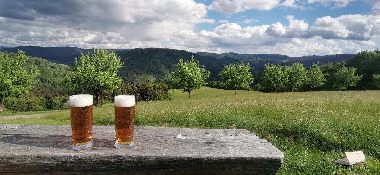 Dolní Lomná 日兹哈克兹克宾馆酒店 外观 照片
